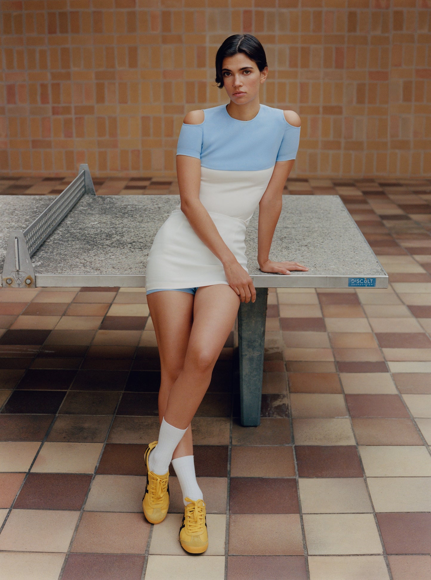 Trapeze Skort